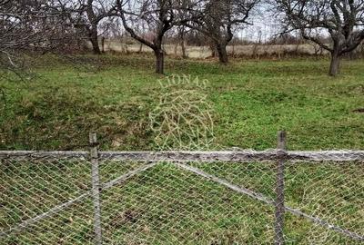 Teren agricol extravilan de 3966 mp, în Budacu de Sus - 2
