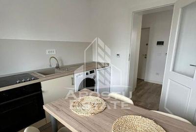 Apartament 1 camera , cu piscina , pet friendly, Chisoda - 9