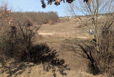 Teren Construcții intravilan de 3444 mp, în Betfia - 2