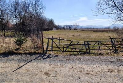 Spațiu comercial, în Stupinii Prejmerului - 2