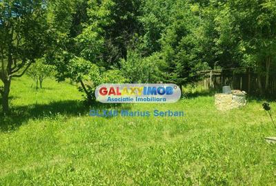 Casă cu 5 camere cu Teren 3657 Mp în Valea Lungă - 19