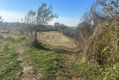 TEREN INTRAVILAN LA DUNARE sat. Macesti - 3