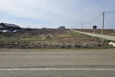 Teren de 700 mp, în Răchiți - 1