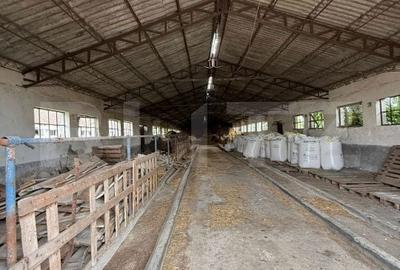 Spațiu comercial, de 7,000 mp, în Șagului - 18