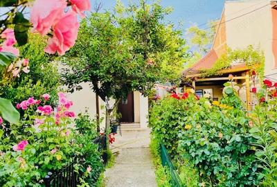 Casă cu 3 camere cu Teren 300 Mp în Ultracentral - 5