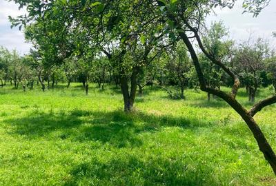 Vând teren intravilan cu casă locuibilă, Butimanu, Dâmbovița – 3.900 m² - 3
