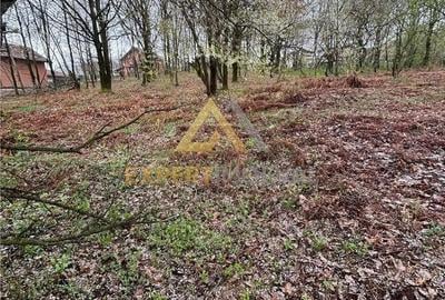 Teren de 1000 mp, în Groși