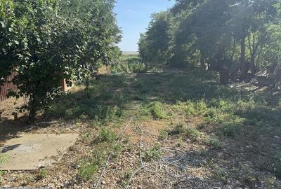 Casă cu 3 camere în Amara - 7