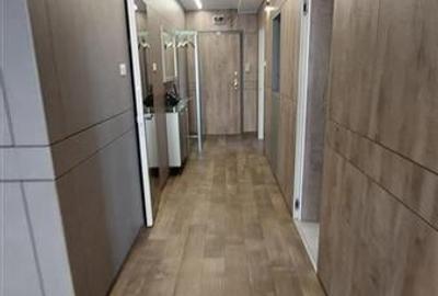 Apartament 4 camere decomandat intrare Racadau Apartament 4 camere decomandat intrare Racadau - 16