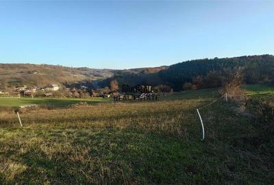 Teren de 3415 mp, în Luncoiu de Sus - 3