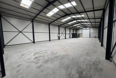 Ovidiu, euohala  380 mp., constructie 2022. - 5