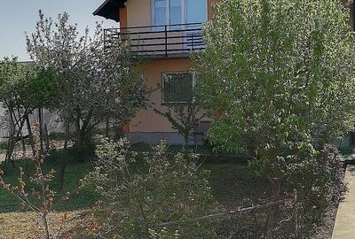 Casă cu Teren 600 Mp în Viișoara - 3