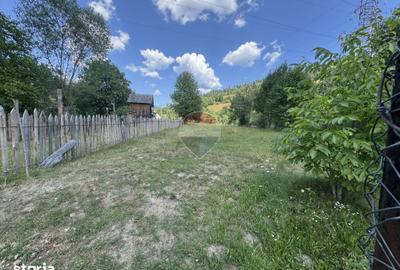 Teren de 2860 mp, în Borca