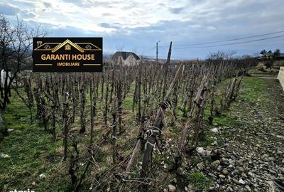 Teren de 600 mp, în Central - 2