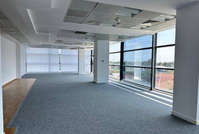 BIROURI PREMIUM PIPERA - IANCU NICOLAE - 1