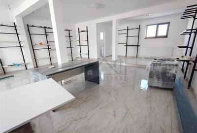 Spatiu comercial Lunca Cetatuii - langa Centura - 29