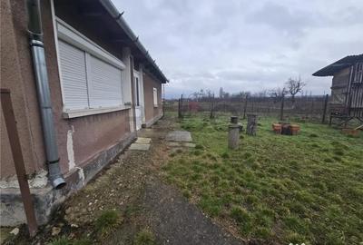 Casă cu 2 camere cu Teren 2685 Mp în Tăut - 14