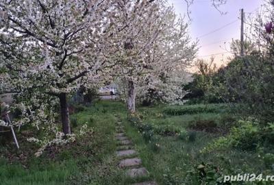 Teren de 1650 mp, în Central - 7