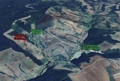 Teren agricol extravilan de 10000 mp, în Sălciua Nouă - 2
