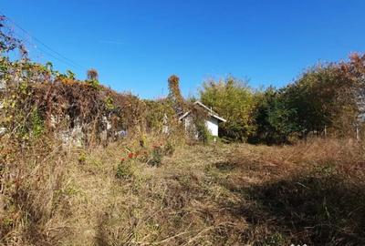 Casă cu 4 camere cu Teren 7720 Mp în Brătești - 6