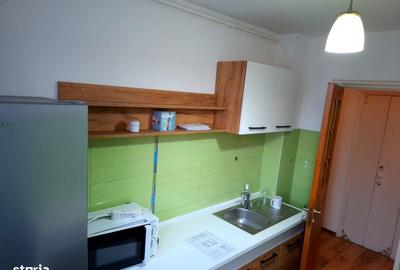 Apartament cu 2 camere semidecomandat, mobilat în Craiovei - 5