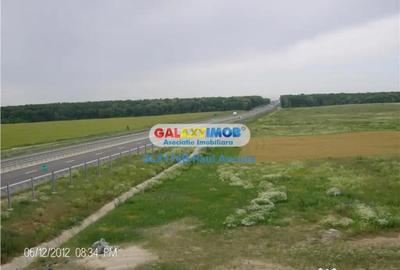 Teren de 7000 mp, în Snagov - 1