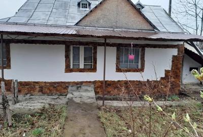 Casa batranesca de vanzare - 3