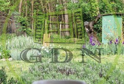 Casă cu 3 camere decomandat cu Teren 1000 Mp în Căianu - 3