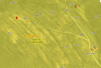 Teren de 21967 mp, în Vica - 1