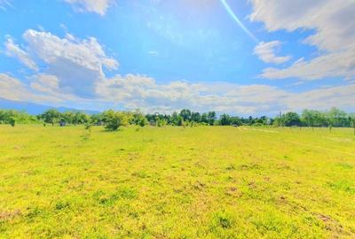 Teren intravilan 1000 mp, Valea Avrigului - 1