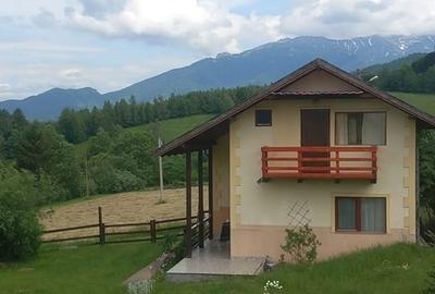 Zarnesti, Bran Zarnesti, Bran - 2