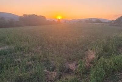 Teren extravilan 6883mp Odobesti - 1