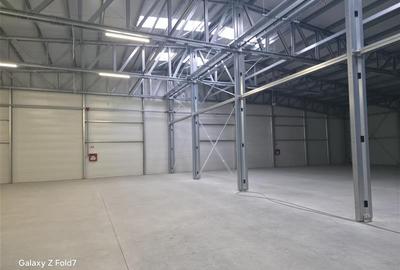 Spațiu industrial, de 1,500 mp, în Mogoșoaia - 22