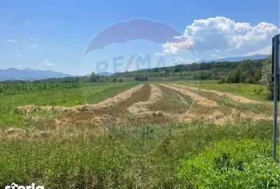 Teren de 14800 mp, în Central - 1