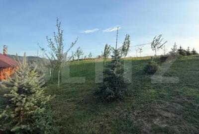 Casă cu 1 camere cu Teren 2800 Mp în Central - 5