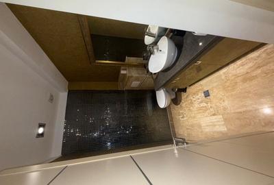 Herăstrău Triplex cu lift în interiorul apartamentului - 6