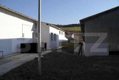 Spațiu comercial, de 3,000 mp, în Dej - 2