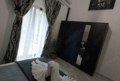 De vanzare 349900 euro casa cu 2 apart. in centru istoric Timisoara - 2