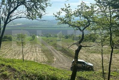 Parcele de 500,700,1000 mp in Aiud , autorizatie de constructie. - 3