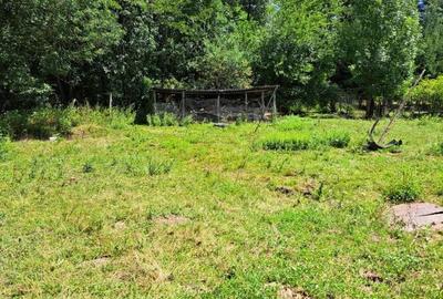 Spațiu comercial, în Bercești - 3