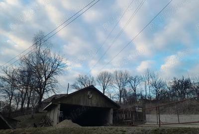 Casă cu Teren 5400 Mp în Fântâna Mare - 1