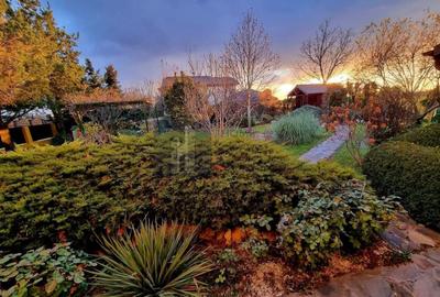 Casă individuală cu 7 camere cu Teren 980 Mp în Snagov - 17