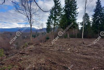 Teren intravilan 2000 mp de vanzare pe Valea Avrigului loc Avrig - 6