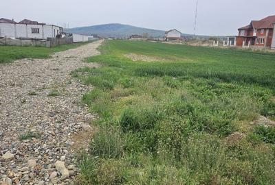 Spațiu comercial, în Rontău - 3