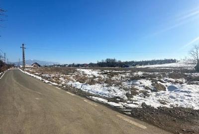 OPORTUNITATE pt Dezvoltatori de case zona Penitenciar ! - 5