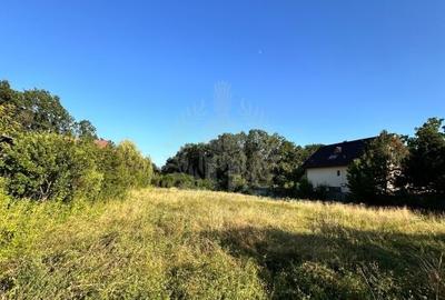 TEREN INTRAVILAN //GAGENI//PAULESTI - 7