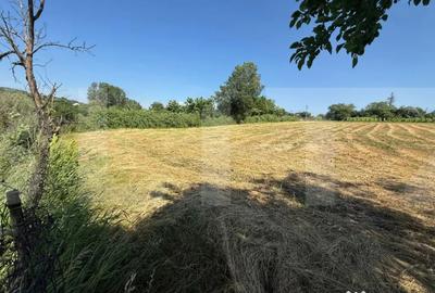Casă cu 3 camere cu Teren 3095 Mp în Central - 4