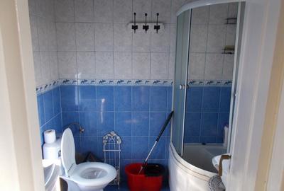 Casa Sacalaz, individuala, P+M, 5 camere, teren 400mp - 3