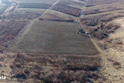 Spațiu comercial, în Covăsinț - 8
