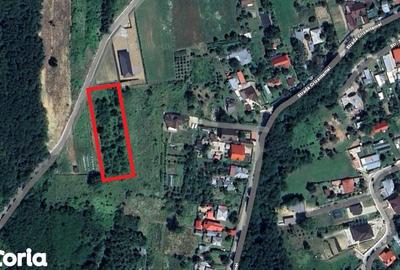 Teren de 1470 mp, în Hemeiuș - 6